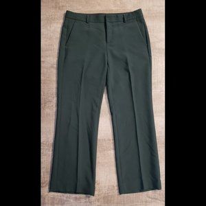 Banana Republic Logan Evergreen Straight Leg Trouser